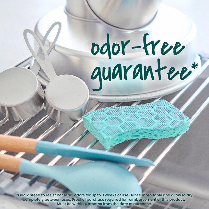 Scotch-Brite Odor Resist Heavy Duty Scrub Sponge, Dishwasher-Safe Kitchen sponges