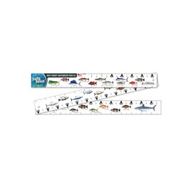 Salty Bones East Coast ID Saltwater 36" Folding Fishing Ruler - Made in The USA