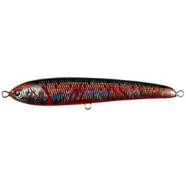 Yamashita (YAMASHITA) Maria Rapido F 160mm 002 Bloody 632-057