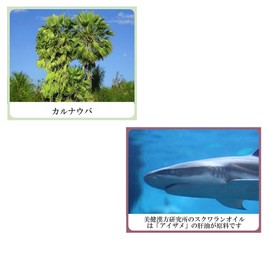 Color White Beauty Herb White Fairy Cream (Whitening Foundation & Moisturizing Sunscreen Cream), Botanical Cosmetics, Genderless Cosmetics, Biken Kampo Research Institute