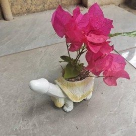 Turtle Planter Turtle Flesh Planter Turtle Statue Turtle Gift Mischievous Joke Turtle Planter Unique Flower Pot For Succulent Plants Live Snail Decor For Fun Planting Experience (tortoise)