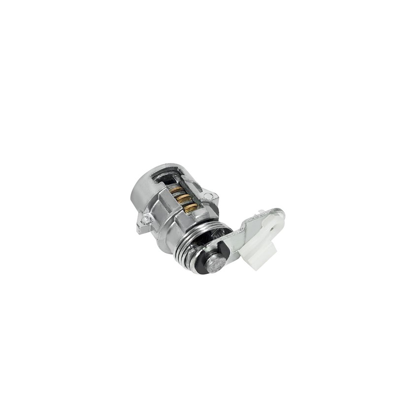 Zieichy Ignition Switch & Door Lock Cylinder with Keys Fit