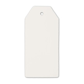 LWR CRAFTS 100 Hang Tags with Jute Twines 100ft (White, 3 3/4" x 1 3/4")