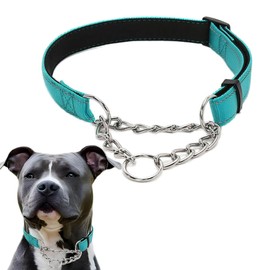Martingale Dog Collar, Reflective Nylon Dog Training Collars Soft Padded No Pull Stainless Steel Chain Collar Adjustable for Small Medium Large Dogs Teal Large