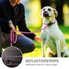 Dog Leashes, Rope Dog Lead with Soft Padded Handle, Reflective