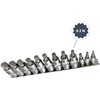 Haskyy 12-piece internal multi-tooth XZN sockets, multi-tooth set M4 M5