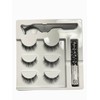 DIANA False Eyelashes, Magnetic Type, Starter Kit, 3 Types, Sweat