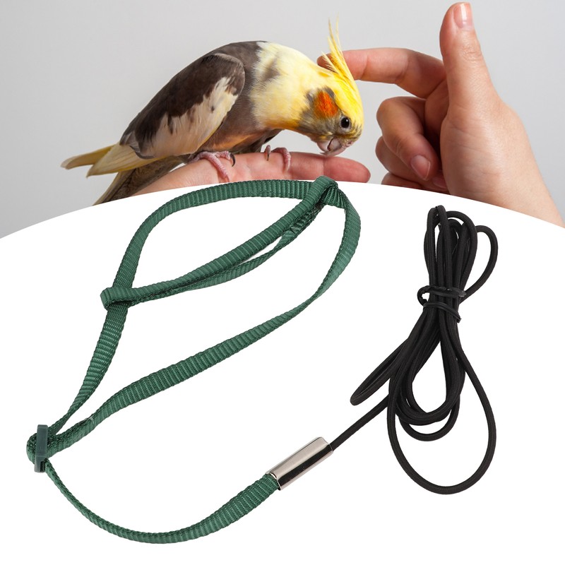 Bird Harness Leash Adjustable Elastic Flying Training Parrot Traction Rope