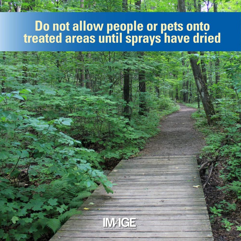 Image Brush & Vine Killer Concentrate, 32 oz