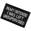 in My Defense I was Left Unsupervised Embroidered Patch, Hook