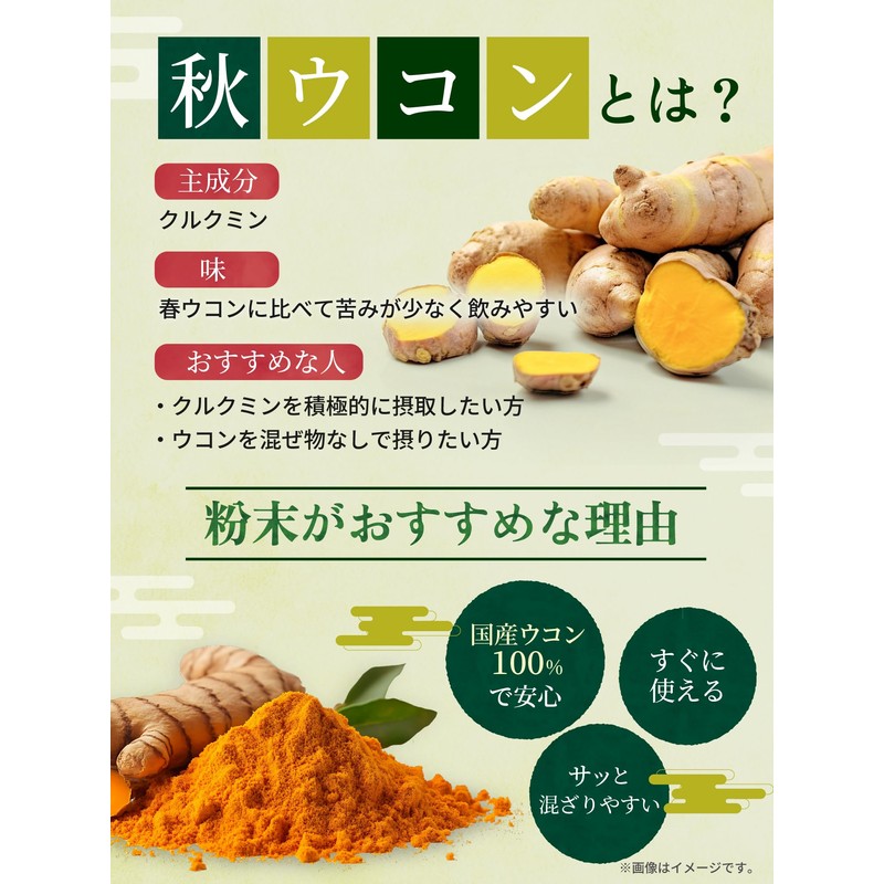 SPANION 大月ウコン パウダー 100g 栽培期間中 農薬不使用 自社農薬検査合格 ターメリックパウダー 国産 ウコン