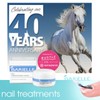BARIELLE ICYCLE Ultra Shine Top Coat - Quick Dry Top