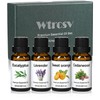 Essential Oils Set-Essential Oils- Perfect for Diffuser,Candle Making,Soap Making -Eucalyptus,