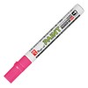 Teranishi Chemical MSR550-T12 Magic Ink Paint Marker, SR No.550, Medium