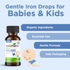 Wellements Organic Iron Drops for Newborn+ Babies (1 Fl Oz)