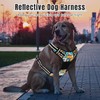 Rnivvi No Pull Dog Harness, Cute Boho Reflective Medium Sized
