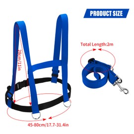 Granvoo Horse Lead Play for Children, Safety Harness Children, Horse Harness Play Adjustable, Baby Anti-Lost Belt, Children's Safety Belt Girls Boys for Skiing Play Trot (Blue)