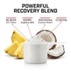 Type Zero- Polvo BCAA Vegano Ultra Limpio Electrolitos (Punzón Hawaiano