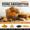 Turmeric Curcumin Supplement - 2000mg Organic Turmeric Per Serving -