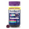 Sambucol Black Elderberry Gummies for Kids - Kids Elderberry Gummies,
