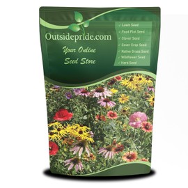 Outsidepride Midwest Wildflower Seed Mix - 1/4 Lb Premium Blend of Annual & Perennial Native Wildflower Seeds for Midwestern States, Attracts Pollinators, Low-Maintenance, Ideal for Meadows & Gardens
