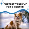 ShieldTec Plus for Dogs (5-15 lbs) 6 Month Supply, Pack