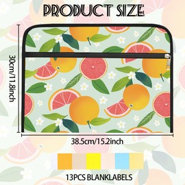 WEBEEDY 13 Pockets Expanding File Folder Zitrusdruck Akkordeon Akte Organizer Mit 12 Farb Etiketten Orangen Frucht Erweiterbarer Ordner Organizer Für Papier A4 Größe