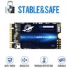 Dogfish SSD, M.2-2242, 256 GB