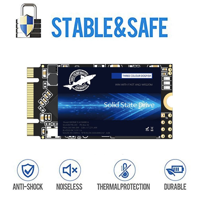 Dogfish SSD, M.2-2242, 256 GB