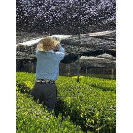 iMaccha Organic Matcha Green Tea Powder - Ceremonial Grade from Japan - 100g (3.5 oz) - Hand Picked First Harvest - Ground by Stone Mills - Kazuma