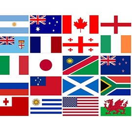 6m/20ft Polyester Fabric Small Bunting Garland with 20 Flags For Rugby Foot Ball Worldcup Olympic Sports Event Banner Decorations