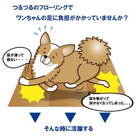 Feather Store Brand Dog Anti-Slip Paws Paws Paws Protection Scratch Prevention Flooring Slip Prevention Fall Prevention Pet Shoes Hip Protection Set of 4 x 5 (M, Blue)