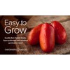 Gardeners Basics, San Marzano Tomato Seeds for Planting Heirloom Non-GMO