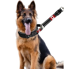 Pink Dog Collar Safety Clip Connector with Canada Maple Flag Patch,15 inch Adjustable Canadian Strap Clip for Harness,Clasp Rope for Pet Cat Traning Travel Walk (Black)