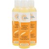 EARTH SCIENCE - Clarifying Herbal Facial Astringent Skin Care with Witch Hazel, 8 Fl Oz (Pack of 3)