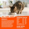 Rawz Real Rabbit Dry Food for Cats with Freeze Dried