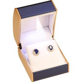 LED Multiple Use Earring Jewelry Gift Box Luxury PU Leather Dome Top with Gold Color Painting on the Sides Studs Earrings Necklace Pendant Gift Holder Box with Light for Women for Men (1, Blue)