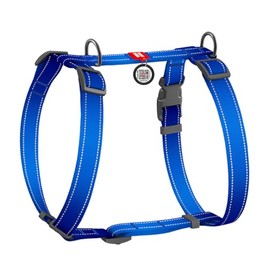 WAUDOG Nylon Safe Dog Harness with QR Passport, Metal fastex, S, W 20 mm, A 35-60 cm, B 55-65 cm Blue