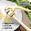 Drincarier Premium Garlic Press, Professional Garlic Mincer, Easy to Squeeze