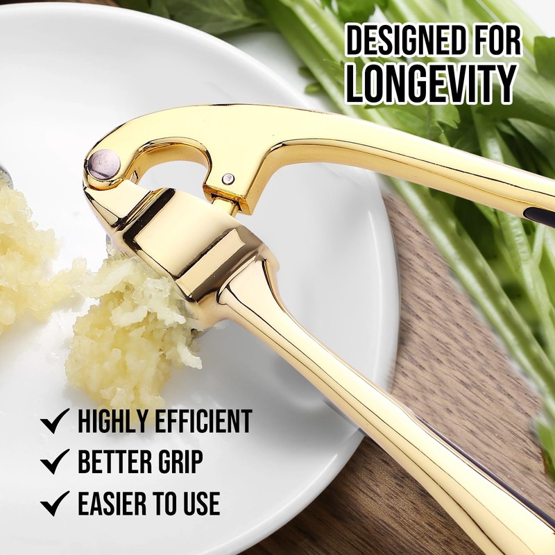 Drincarier Premium Garlic Press, Professional Garlic Mincer, Easy to Squeeze