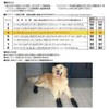 Fantasy World Dog Boots, 4 Medium Dog Shoes, Walks, Boots,