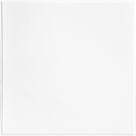 From Plain To Beautiful In Hours Smooth Economy 24 in. x 24 in. Revealed Edge Lay-in Ceiling Tile (Covers / 120 sq. ft.), Gloss White, Pack of 30