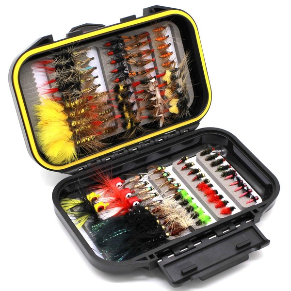 Fly Fishing Flies Assortment Kit Dry Wet Nyphms Tenkara Popper Streamer Woolly Bugger for Trout Bass Salmon Steelhead with Fly Box