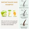 Fvquhvo Champú Instantáneo para Cabello Negro para Cabello Gris -