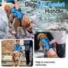 rabbitgoo Escape-Proof Dog Harness Medium with Large Handle, Adjustable No