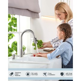 WOWOW Kitchen Sink Faucet with Soap Dispenser and Bar Faucet