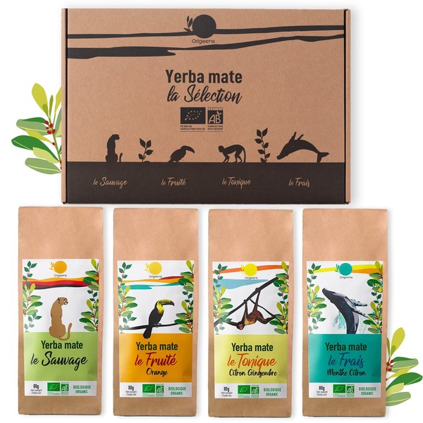 ORIGEENS ORGANIC YERBA MATE SET x4 | Organic Yerba Mate Tea 4x80gr | Mate Set, Gift Idea