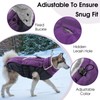 Queenmore Warm Fleece Dog Jacket, Cold Weather Waterproof Snowsuit, Reflective