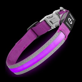 PetIsay Glow-in-The-Dark Dog Collar - Rechargeable IP68 Waterproof LED Collar with Reflective Strips & Metal Buckle Light up Collar for Night Walking, Hiking, Camping (Medium, White)