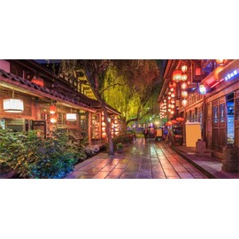 Yeele 20x10ft Chinese Style Backdrop Ancient Town Night View Antique Alley Lantern Background for Photography Kids Adult Travel Photo Booth Shoot Vinyl Studio Props